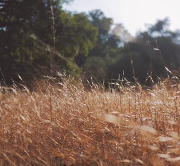 北京人和决意取胜，坚定击败河南建业